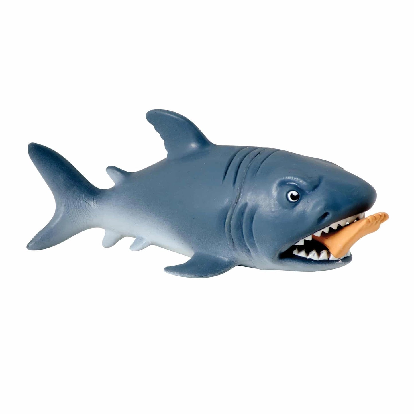 ChompTheShark