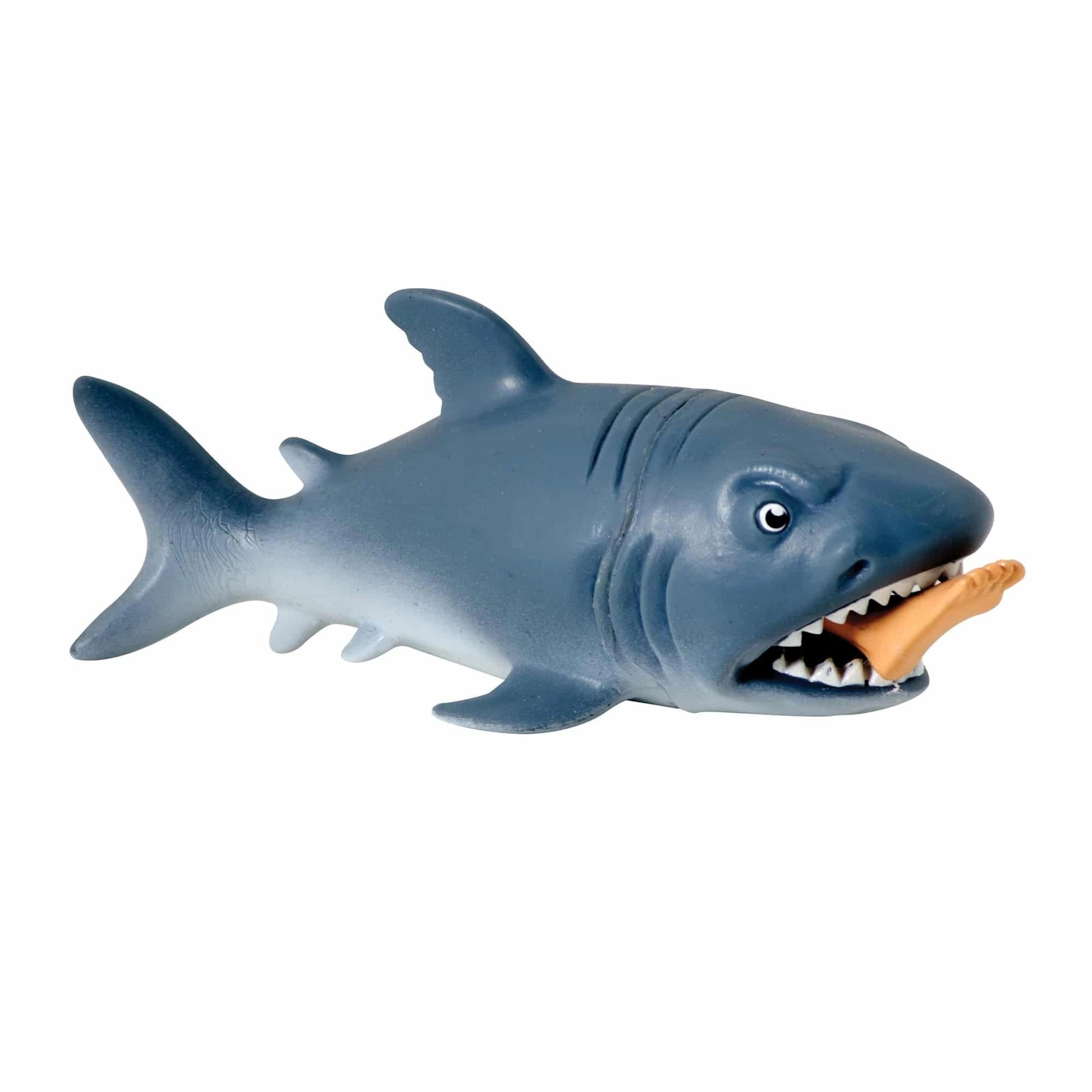 ChompTheShark